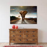 Elephant Canvas Print №3536