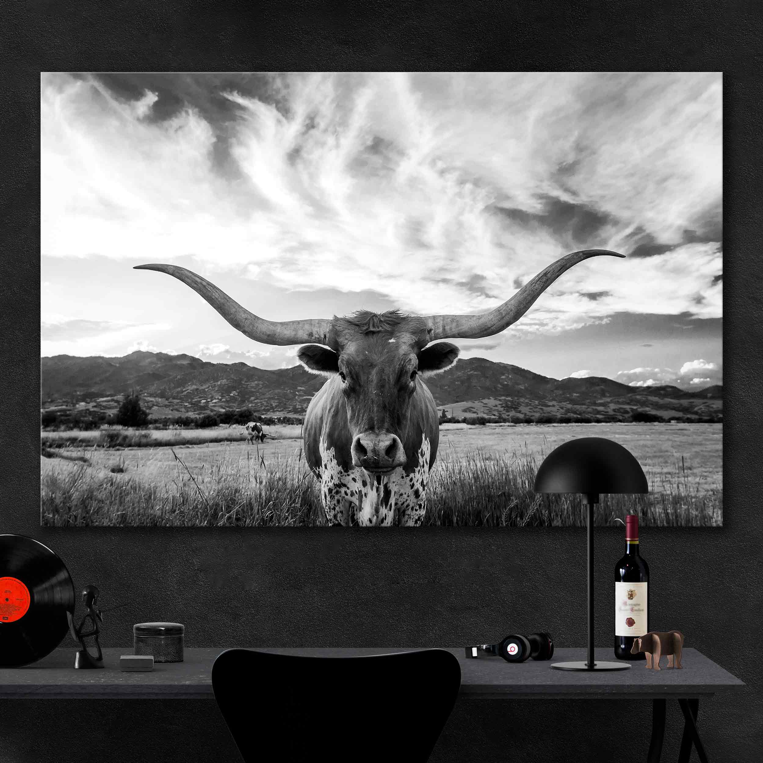Texas Longhorn Cow Canvas Print №3511