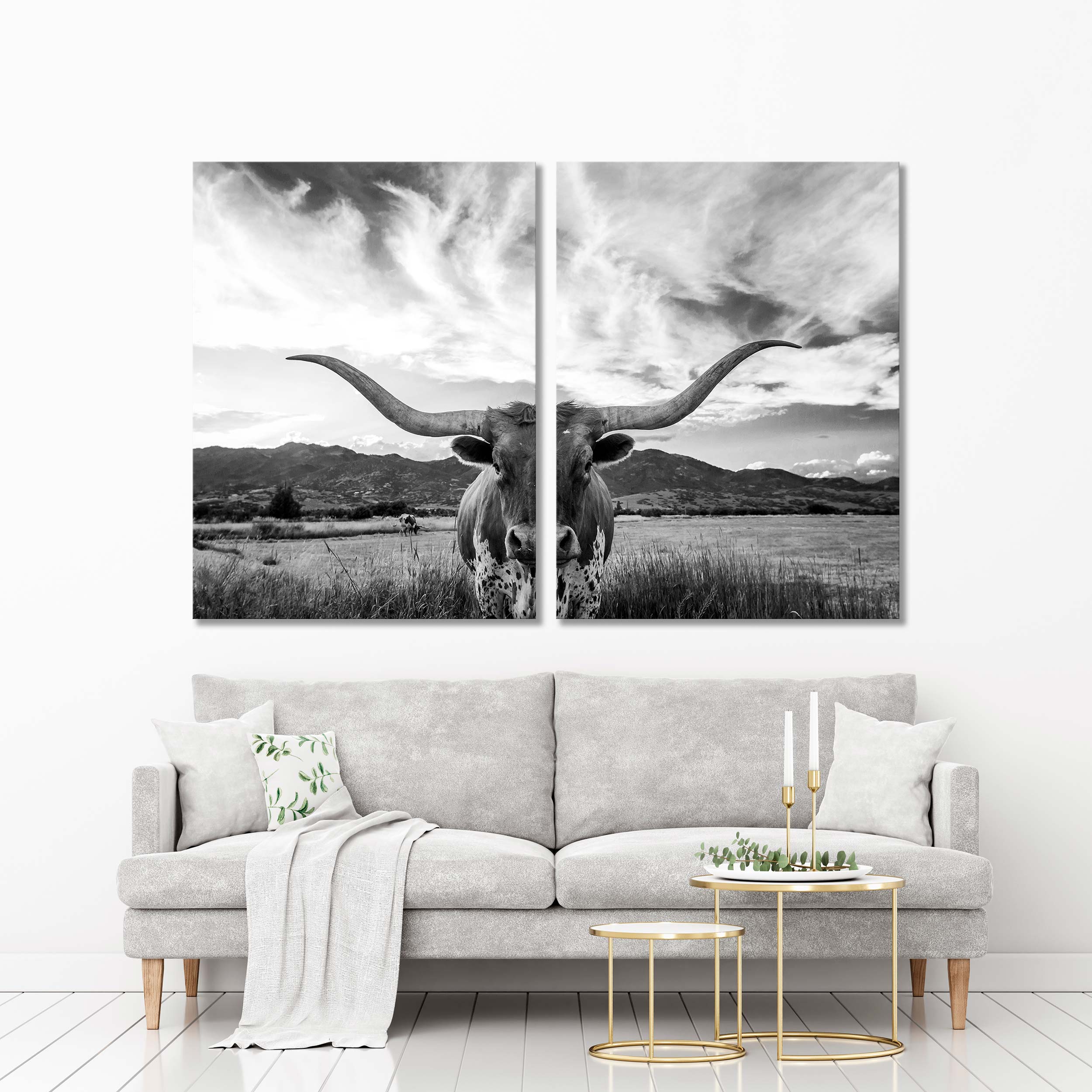 Texas Longhorn Cow Canvas Print №3511