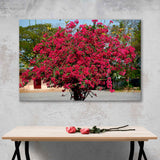 Sakura in sunlight Canvas Print  №7062