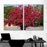 Sakura in sunlight Canvas Print  №7062