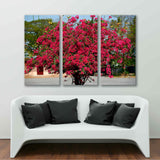 Sakura in sunlight Canvas Print  №7062