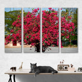 Sakura in sunlight Canvas Print  №7062