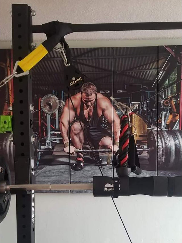 What a great set of pics for the gym!