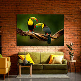 Toucans, Costa Rica Wildlife Canvas Print №4024