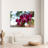 Purple Orchid Canvas Print №7052