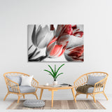 White and Red Tulips Canvas Print №7045