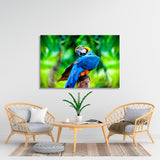 Ara Parrot Canvas Print №3541