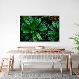 Green Leaves With Water Drops Canvas Print №7006