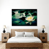 Beautiful White lotus Canvas Print №7053