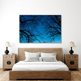 Blue Sky Behind Black Tree Branches Canvas Print №7036