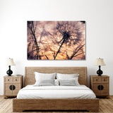 Dandelion Silhouette On Sunset Background Canvas Print №7034