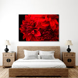 Flowers Red Dahlia Canvas Print №7046