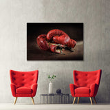 Old Red Boxing Gloves Canvas Print №1006