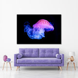 The Purple-striped Jellyfish Canvas Print №3528