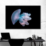 Dangerous Jellyfish Canvas Print №3530