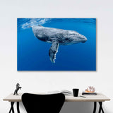 Humpback Whale Canvas Print №3521