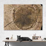 Texture Of A Tree Trunk In A Cut Canvas Print №0033