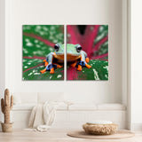 Tree Frog Canvas Print №3527