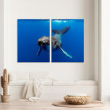 Humpback Whale Calf Canvas Print №3552