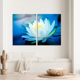Beautiful Lotus Flower Canvas Print №7017