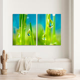 Dew Drops Grass Canvas Print №7004