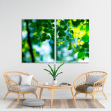 Green Leaves Canvas Print №7022