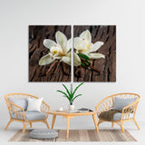 Vanilla Orchid Canvas Print №7059