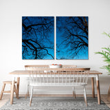 Blue Sky Behind Black Tree Branches Canvas Print №7036