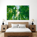 Green Forest Canvas Print №7043