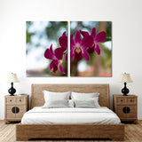Purple Orchid Canvas Print №7052