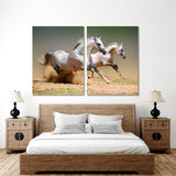 Arabian Horses Canvas Print №3500