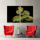 Green Goldy Snake - Canvas Print №3503