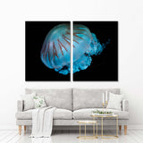 Jellyfish Canvas Print №3529