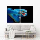 Blue Viper Snake, Animal Closeup Canvas Print №3519