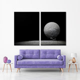 Ant Carries the Stone Art Canvas Print №3512