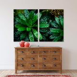Green Leaves With Water Drops Canvas Print №7006