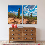 Saguaro National Park, Tucson, Arizona, USA Canvas Print №4050