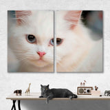 White Persian Cat Canvas Print №3550
