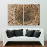 Texture Of A Tree Trunk In A Cut Canvas Print №0033