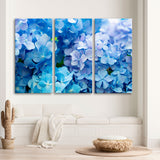 Hydrangea Flower Canvas Print №7013