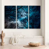 Branches Against The Blue Sky Canvas Print №7016