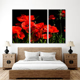 Red Poppy in Dark Background Canvas Print №7054