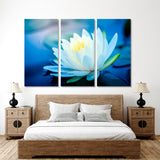 Beautiful Lotus Flower Canvas Print №7017