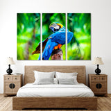 Ara Parrot Canvas Print №3541