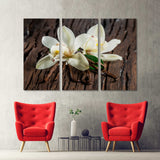 Vanilla Orchid Canvas Print №7059