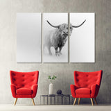 Wild Cow Canvas Print №3543