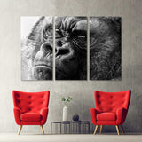 Gorilla Canvas Print №3540