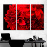 Flowers Red Dahlia Canvas Print №7046