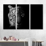 Black and White Tiger Canvas Print №3509